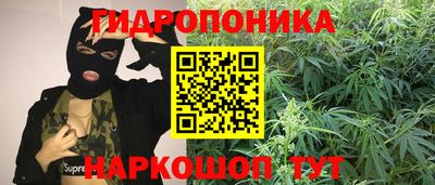ALPHA PVP Пушкино