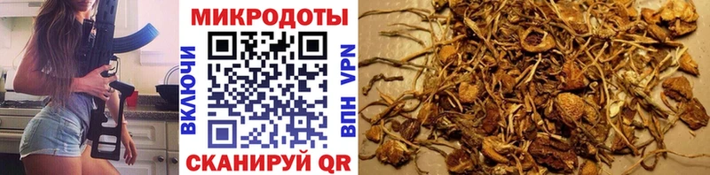 Галлюциногенные грибы MAGIC MUSHROOMS где можно купить Новокузнецк