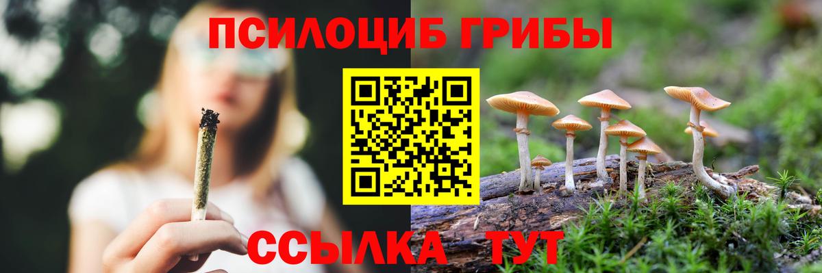Новокузнецк  как найти закладки  Вход с VPN  Псилоцибиновые грибы GOLDEN TEACHER 